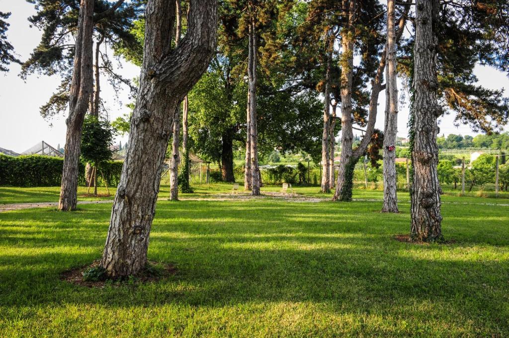 Belvivere Suites Sona Buitenkant foto
